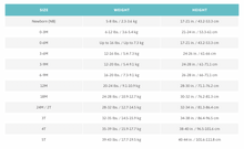 Load image into Gallery viewer, Big Love, Little Love T-Shirt and Onesie